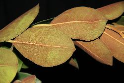 Image: Trevor James © Trevor James 